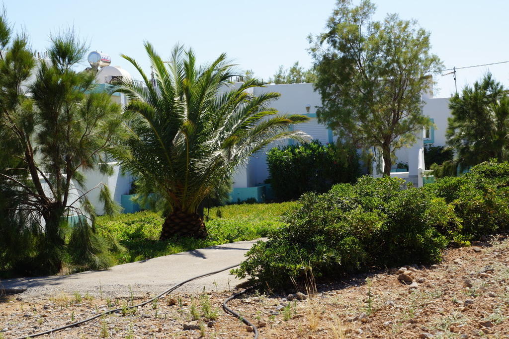 Notos Villas Frangokastello Chambre photo